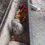 phoca_thumb_m_ke krmelci 15 Fotogalerie